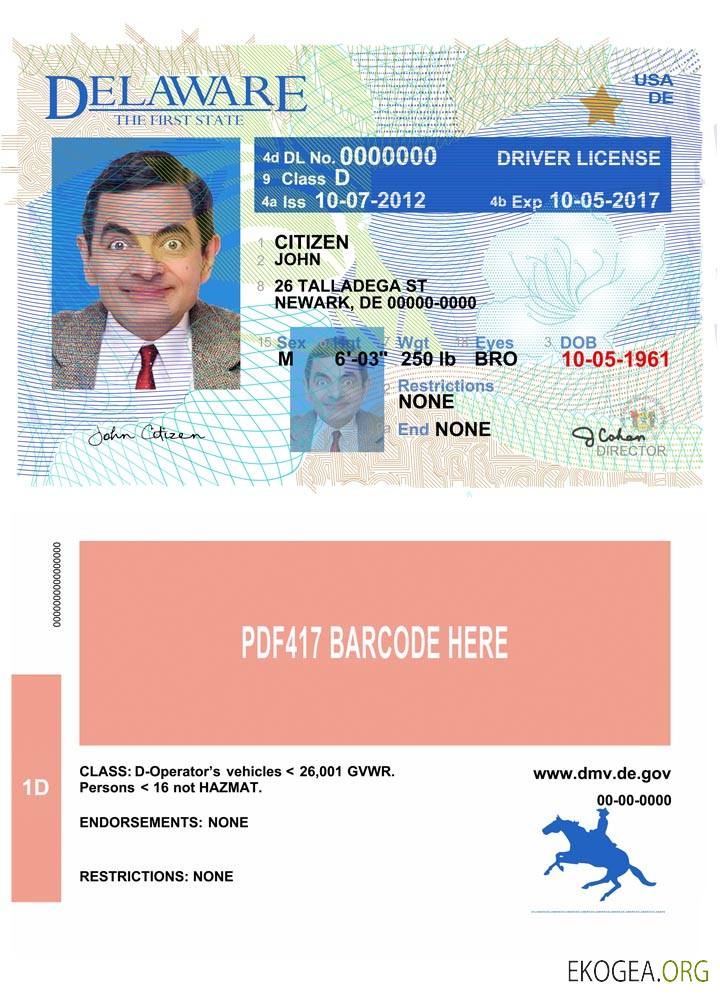 USA Delaware driving license version 2